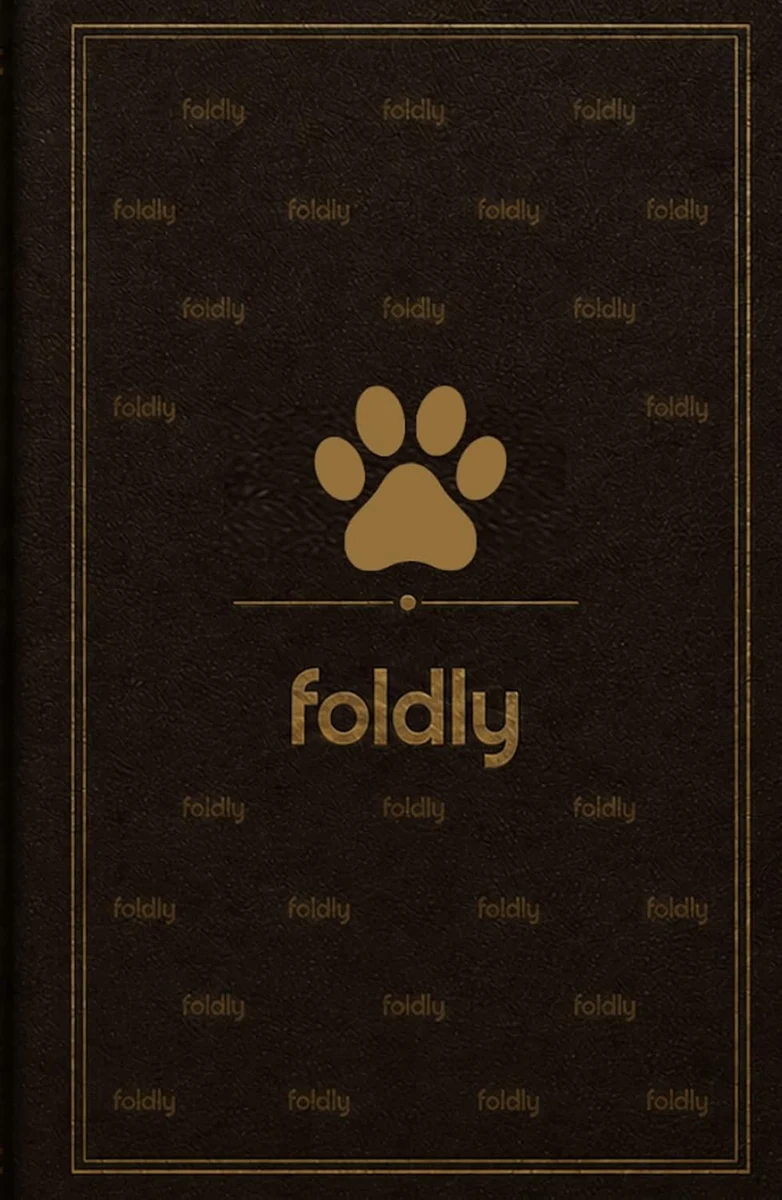 Foldly Paws — book cover